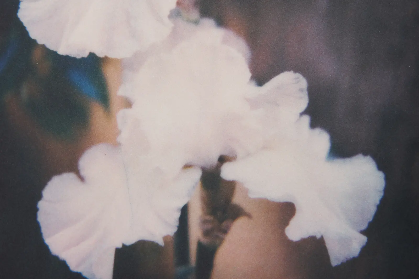 56 Days in Arles image 3