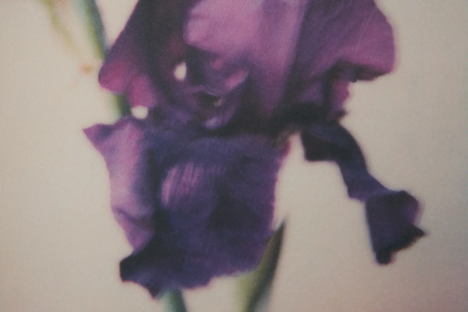 56 Days in Arles image 9