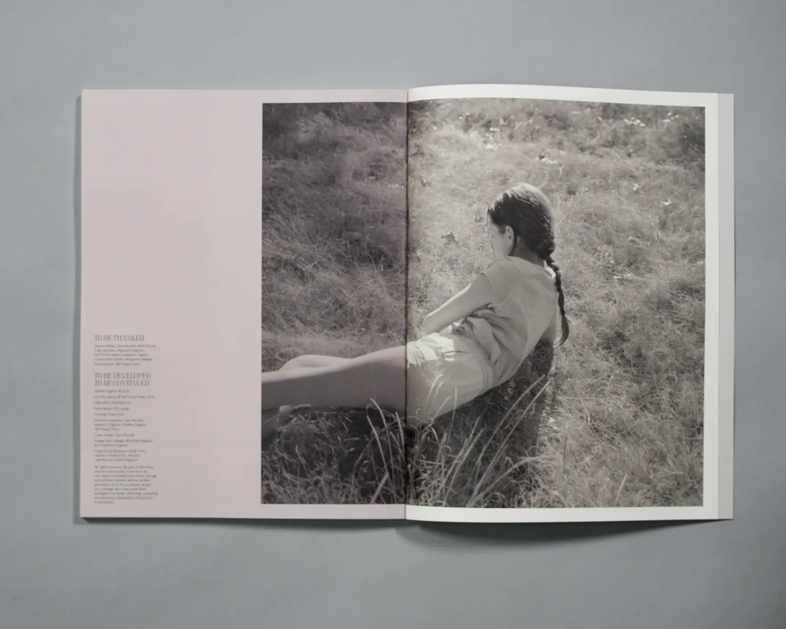 To Be Developed, To Be Continued image 2