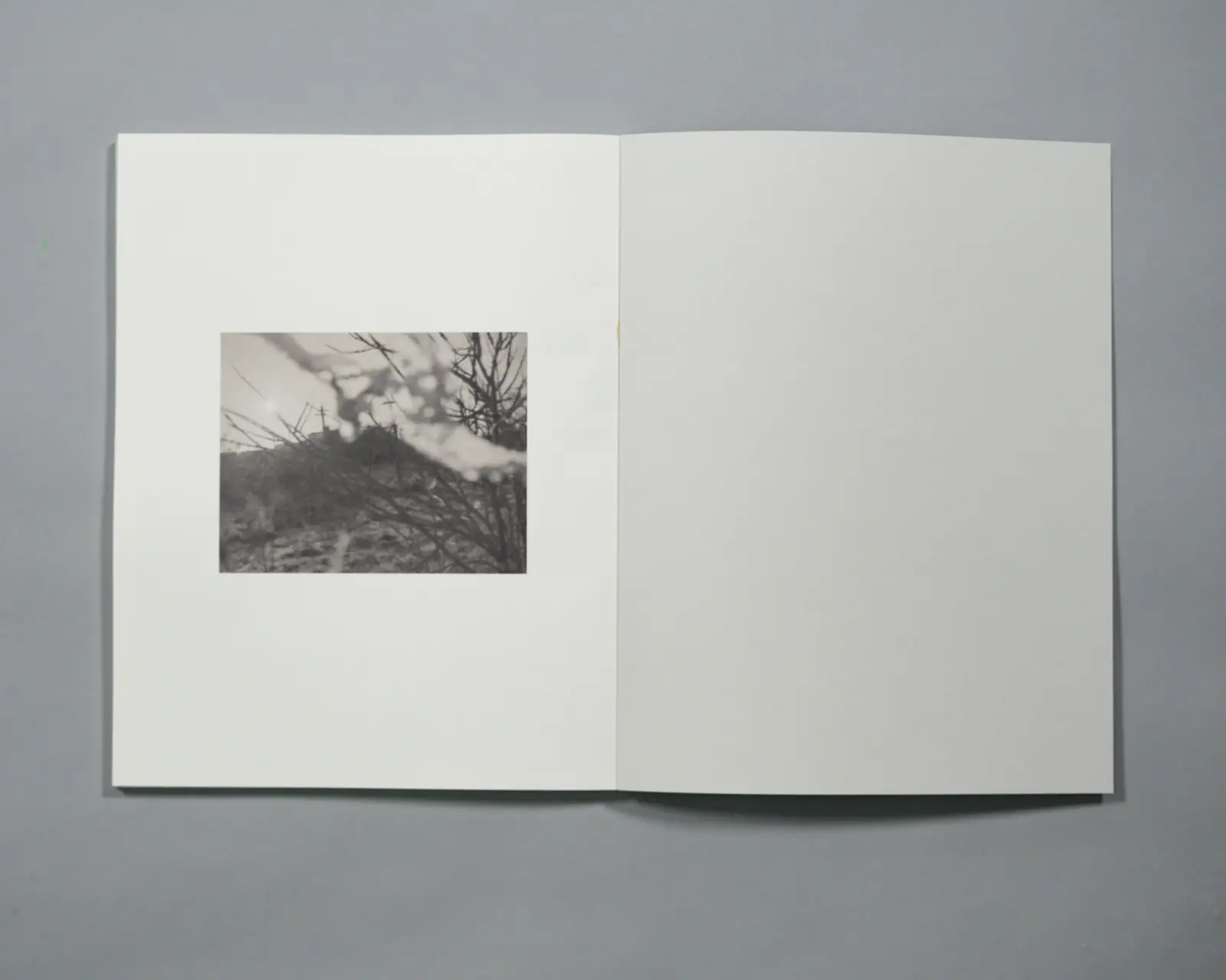 To Be Developed, To Be Continued image 3