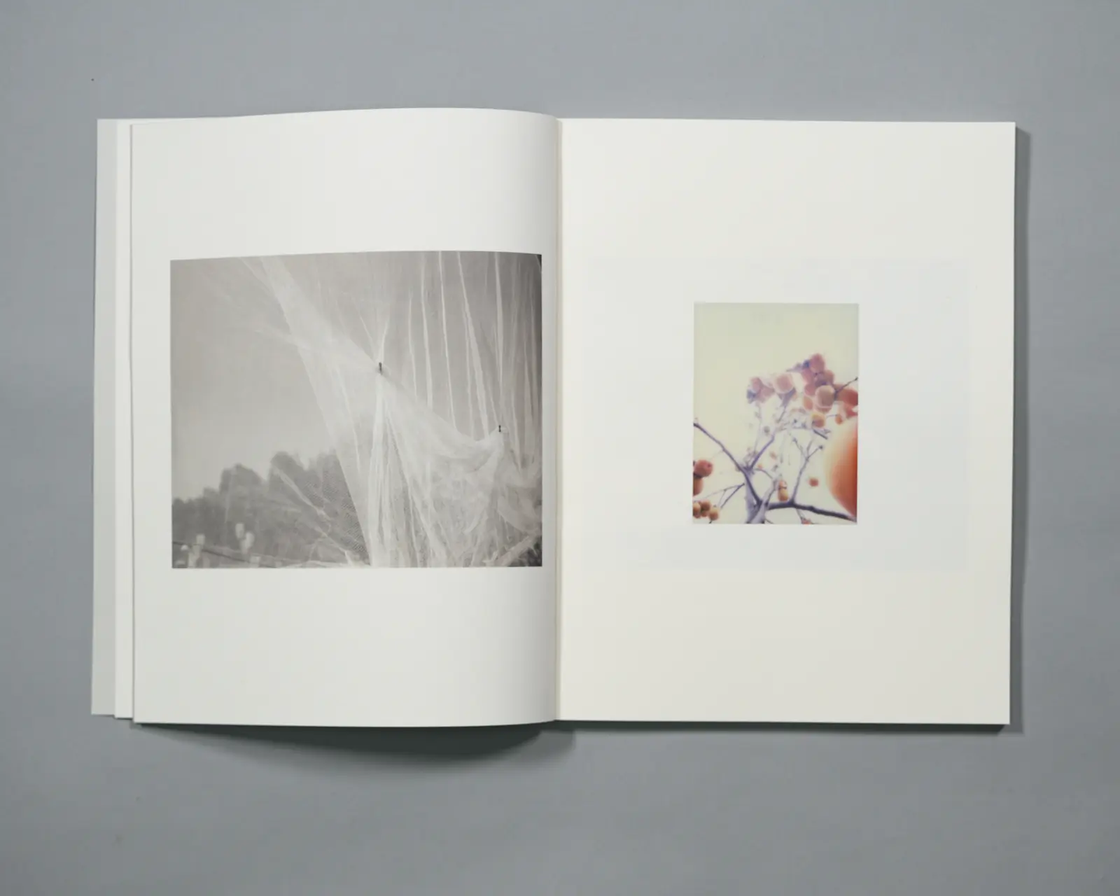 To Be Developed, To Be Continued image 6