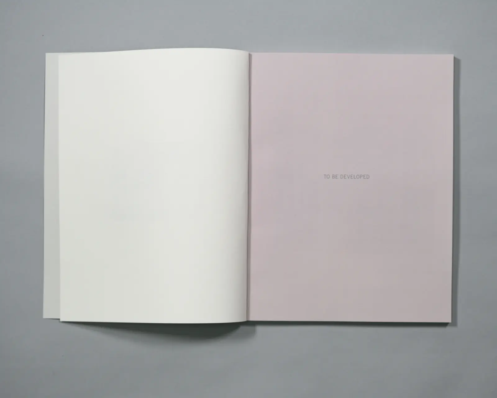 To Be Developed, To Be Continued image 8