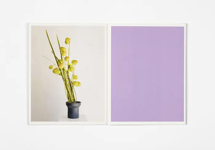 Ikebana image 7