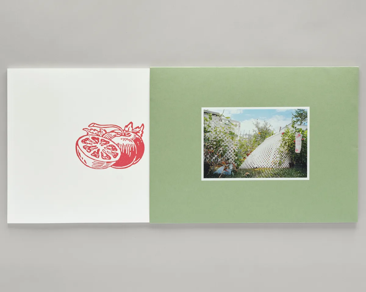 so many beautiful reasons