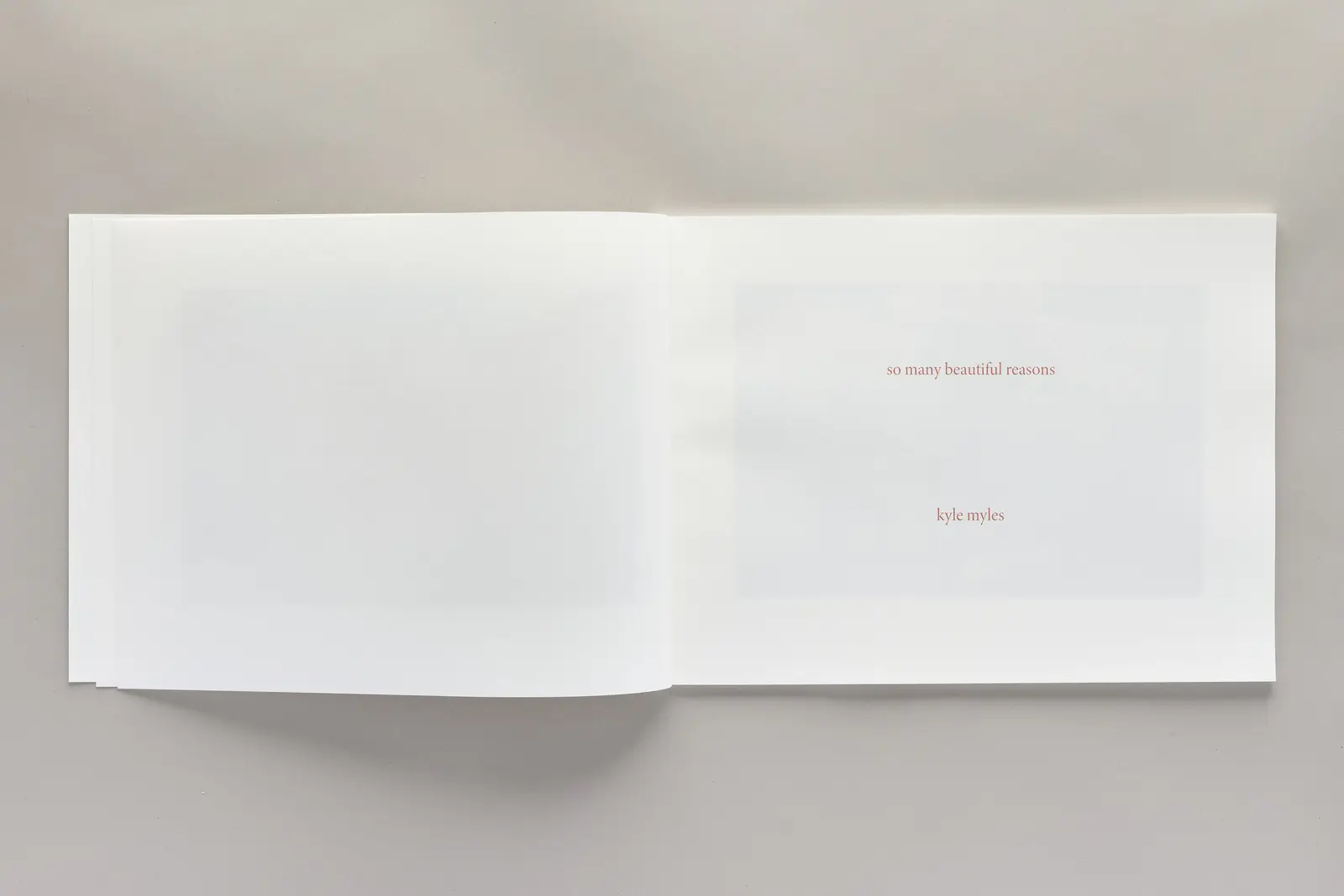 so many beautiful reasons image 2