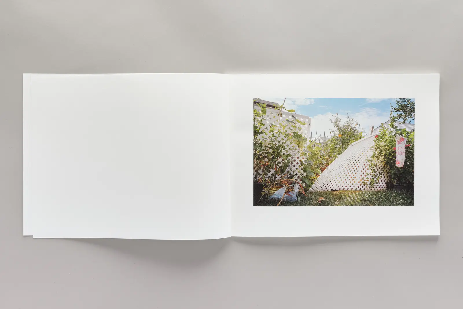 so many beautiful reasons image 3