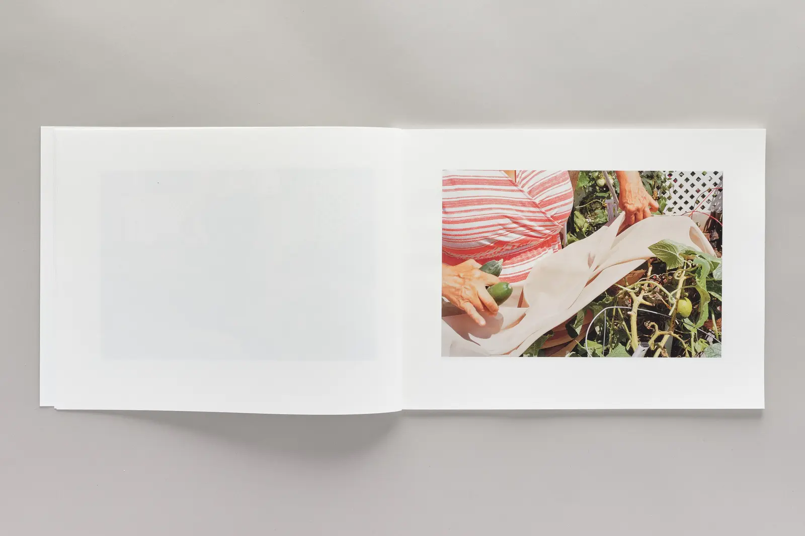 so many beautiful reasons image 4