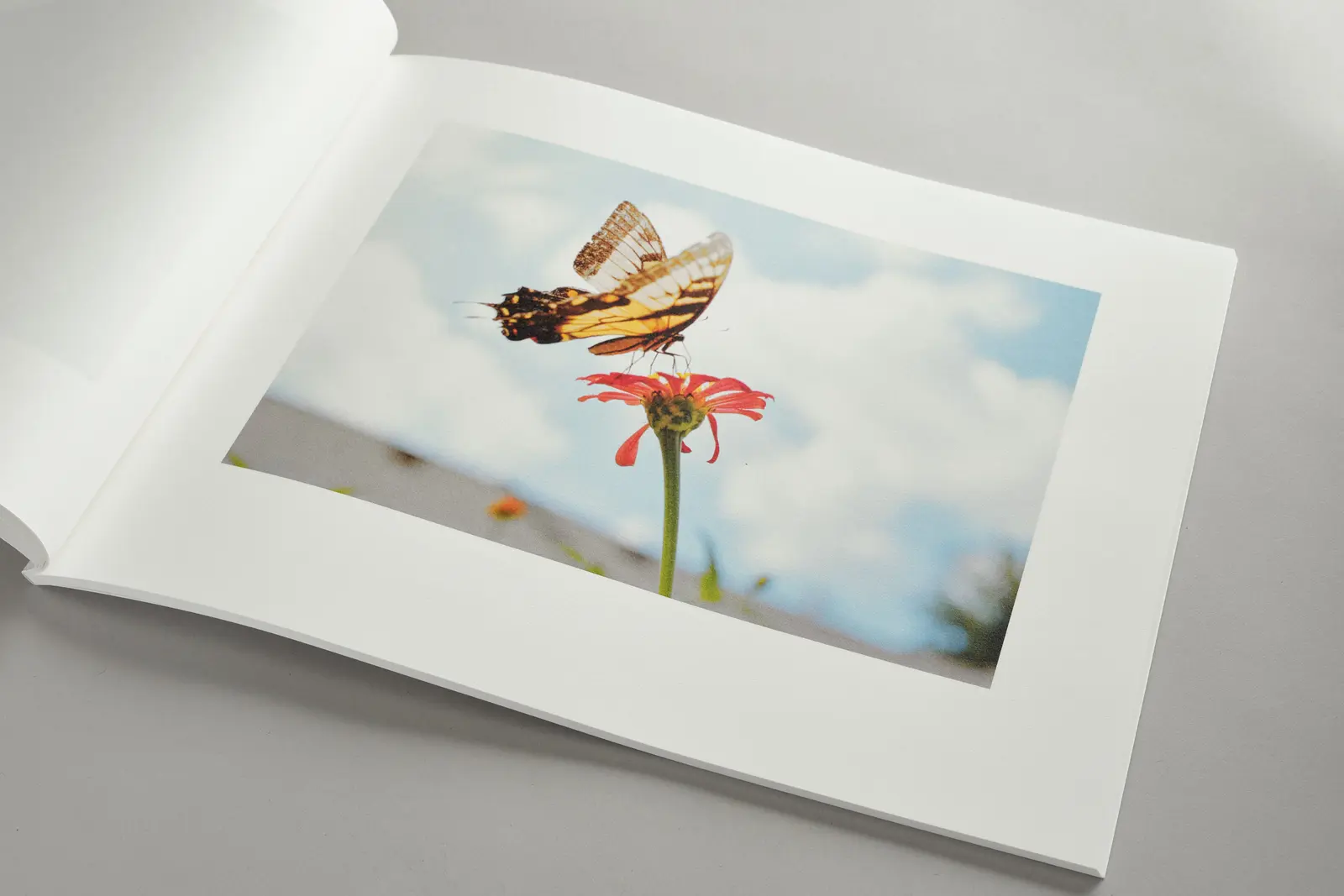 so many beautiful reasons image 5