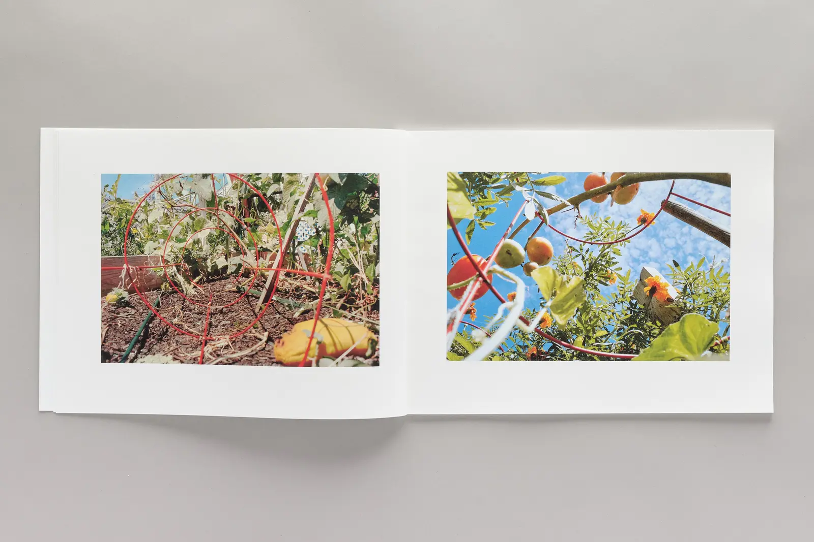 so many beautiful reasons image 6