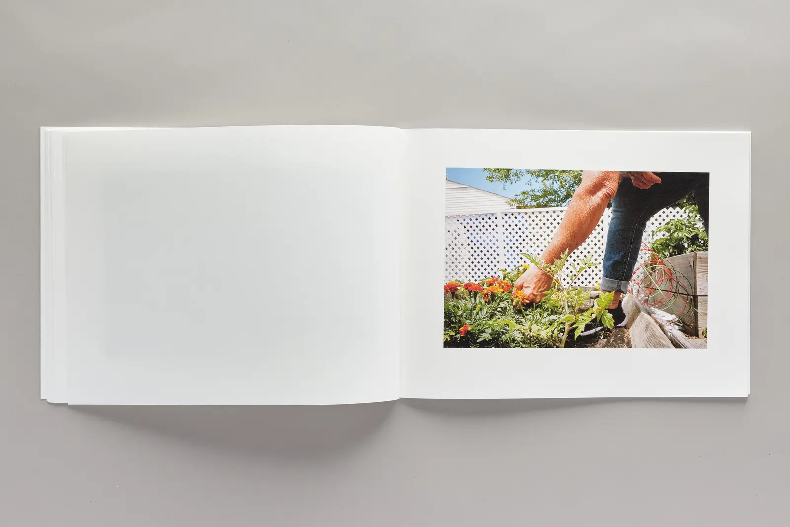 so many beautiful reasons image 7