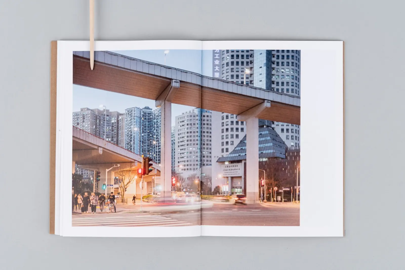 The Death and Life of Great Asian Cities vol I image 3