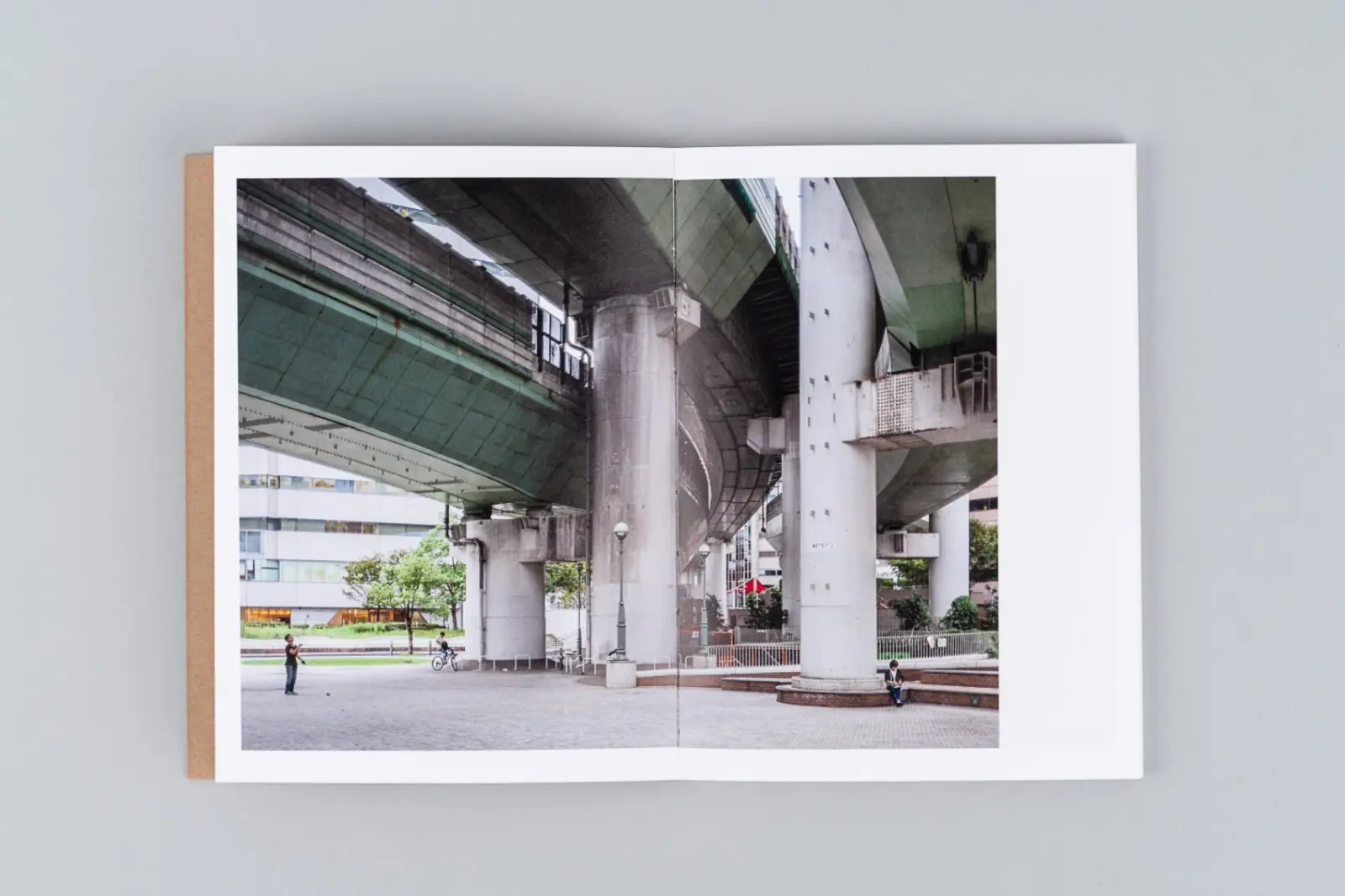 The Death and Life of Great Asian Cities vol I image 2