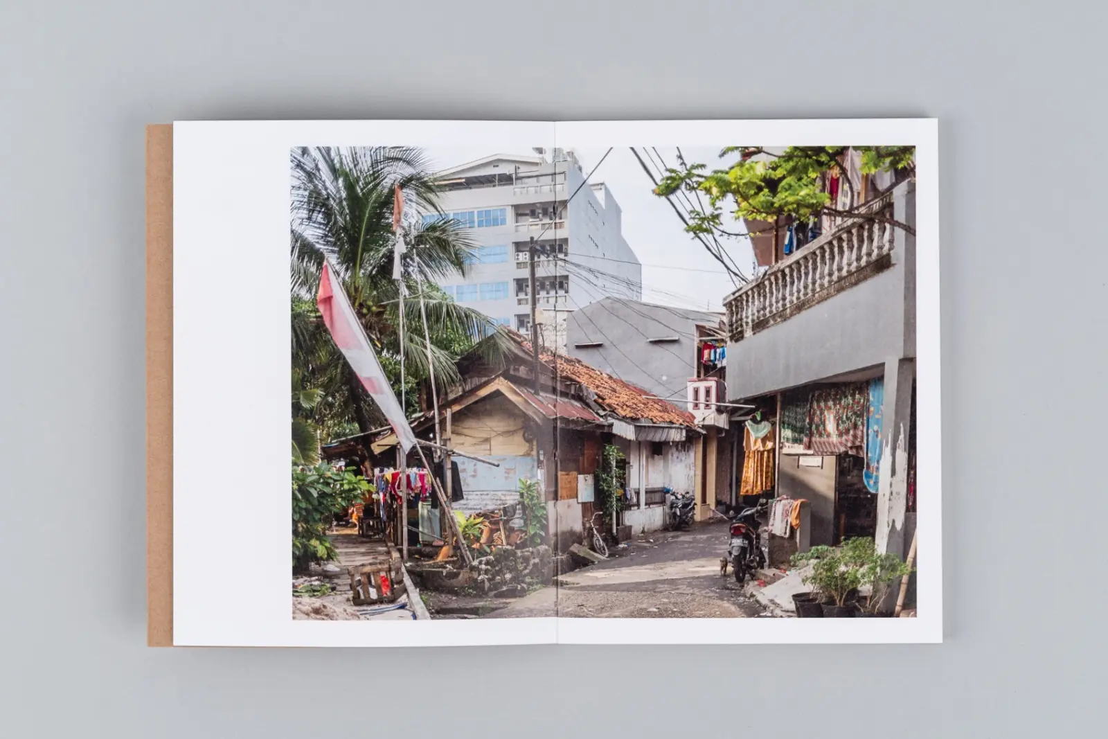 The Death and Life of Great Asian Cities vol I image 7