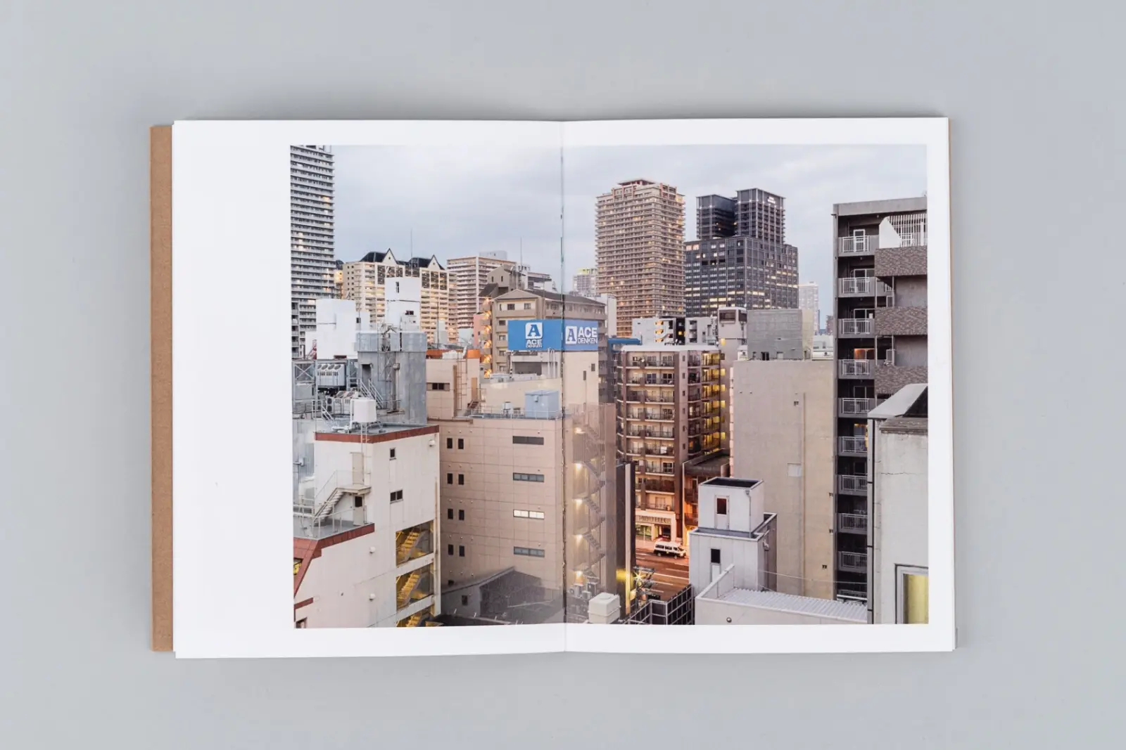 The Death and Life of Great Asian Cities vol I image 8