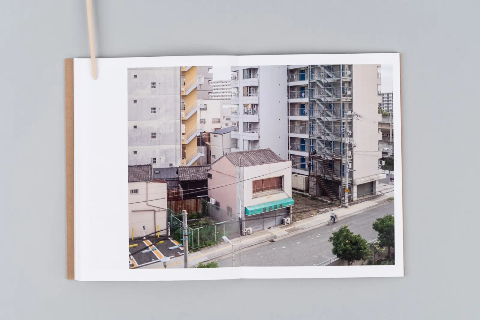 The Death and Life of Great Asian Cities vol I image 6