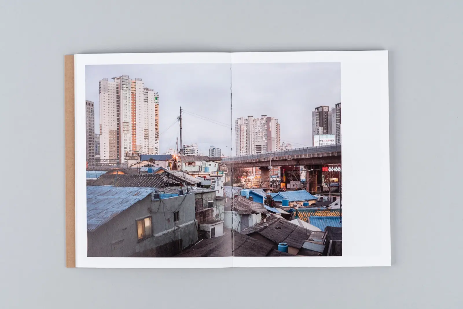 The Death and Life of Great Asian Cities vol I image 11