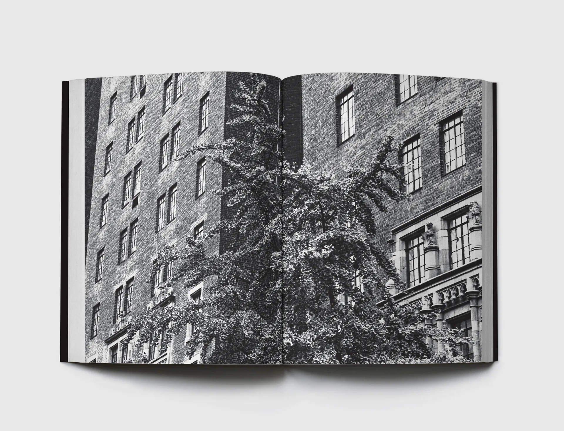 1 New York Times Plaza, NY 11356 image 3