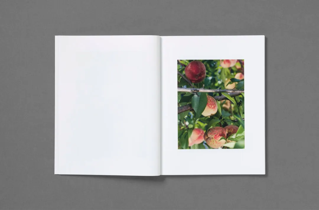 Rude in the Good Way image 8