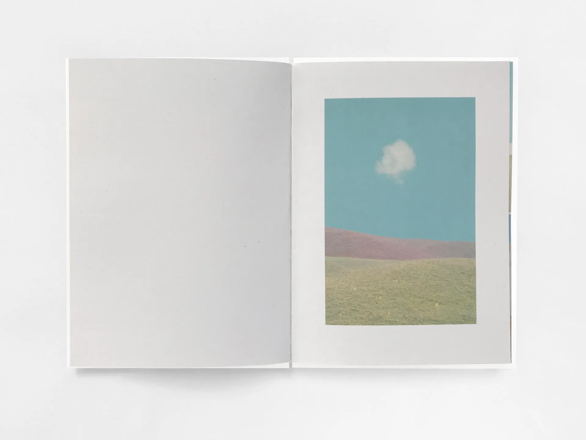 Hallucinations image 2