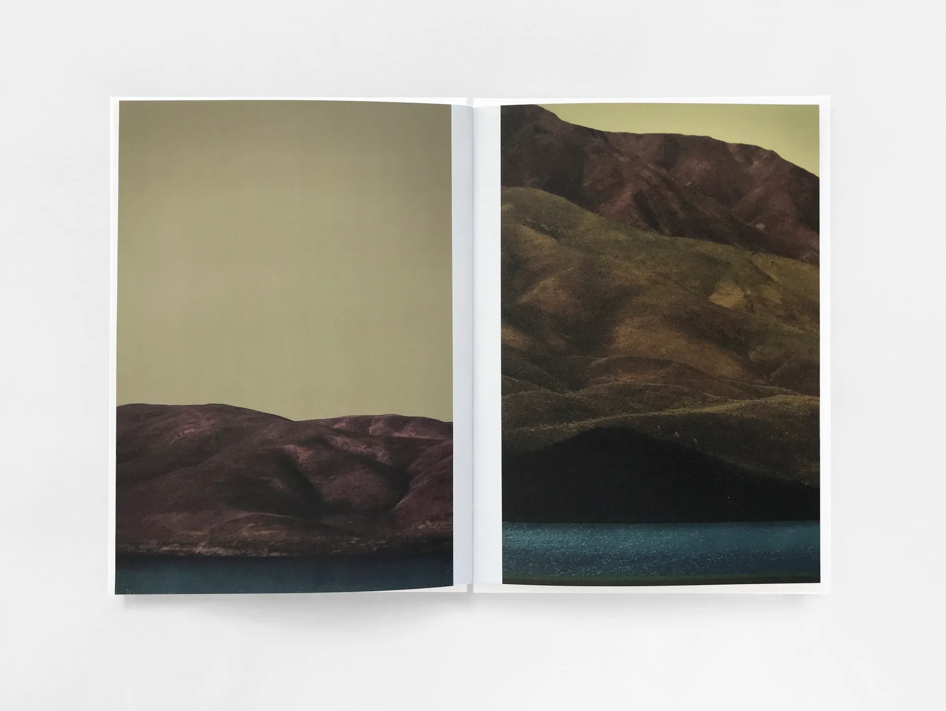 Hallucinations image 5