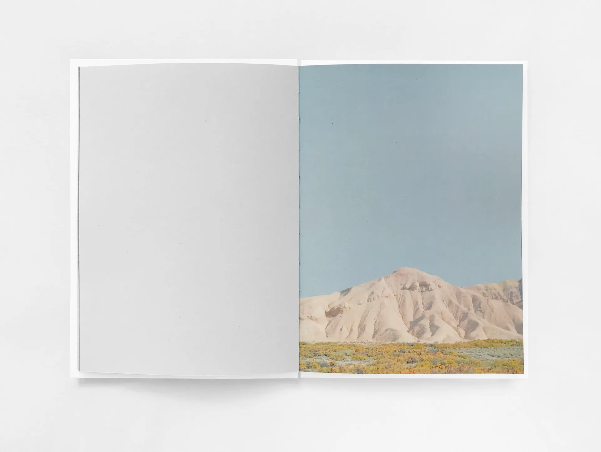 Hallucinations image 6