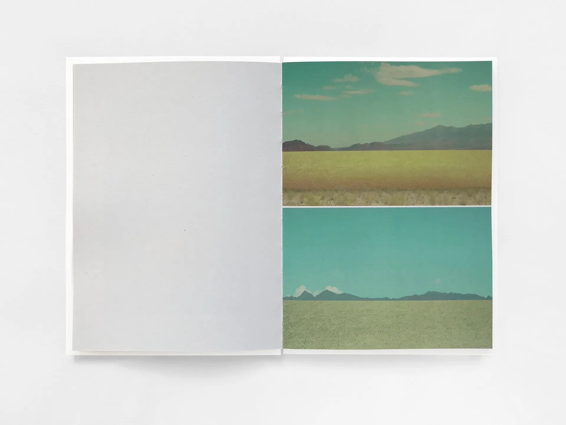 Hallucinations image 8