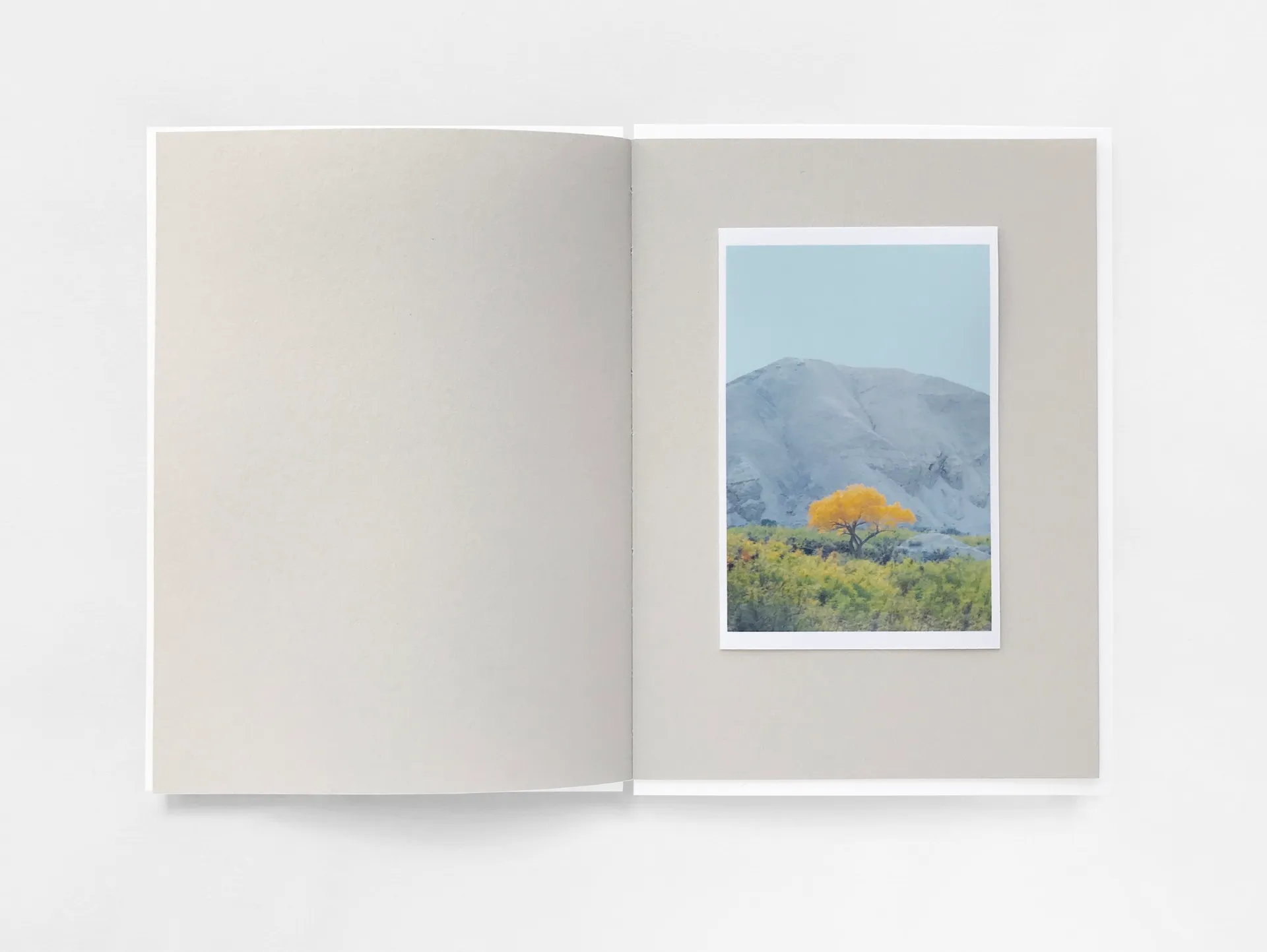 Hallucinations image 10