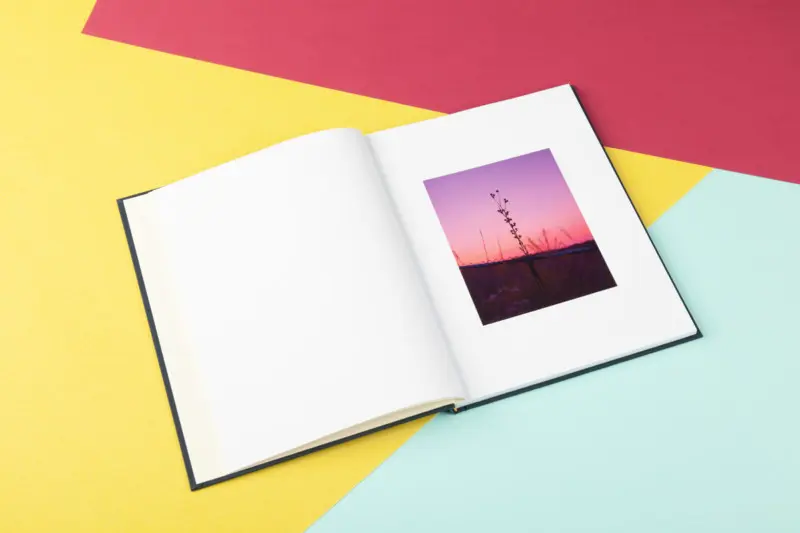 Instant Honey image 4