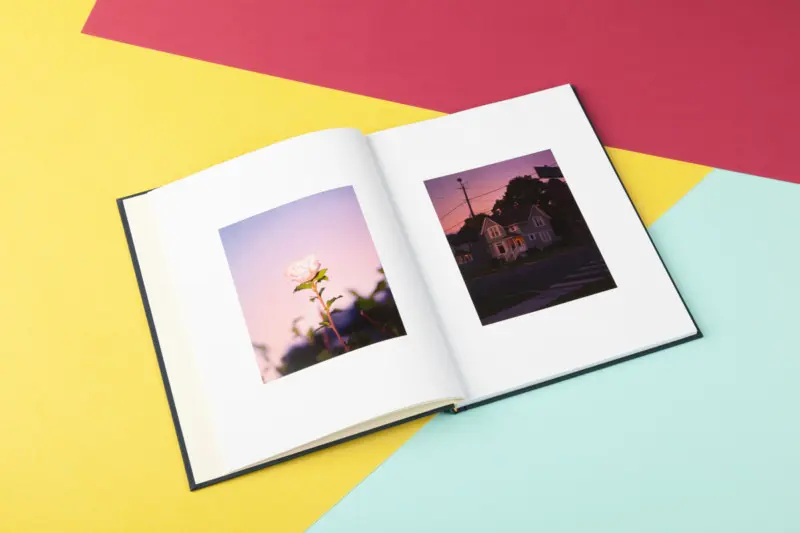 Instant Honey image 5