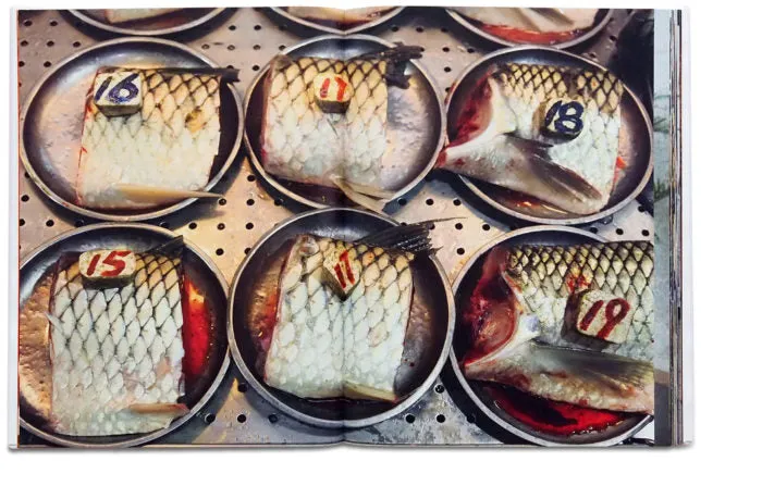 Hong Kong Parr image 2