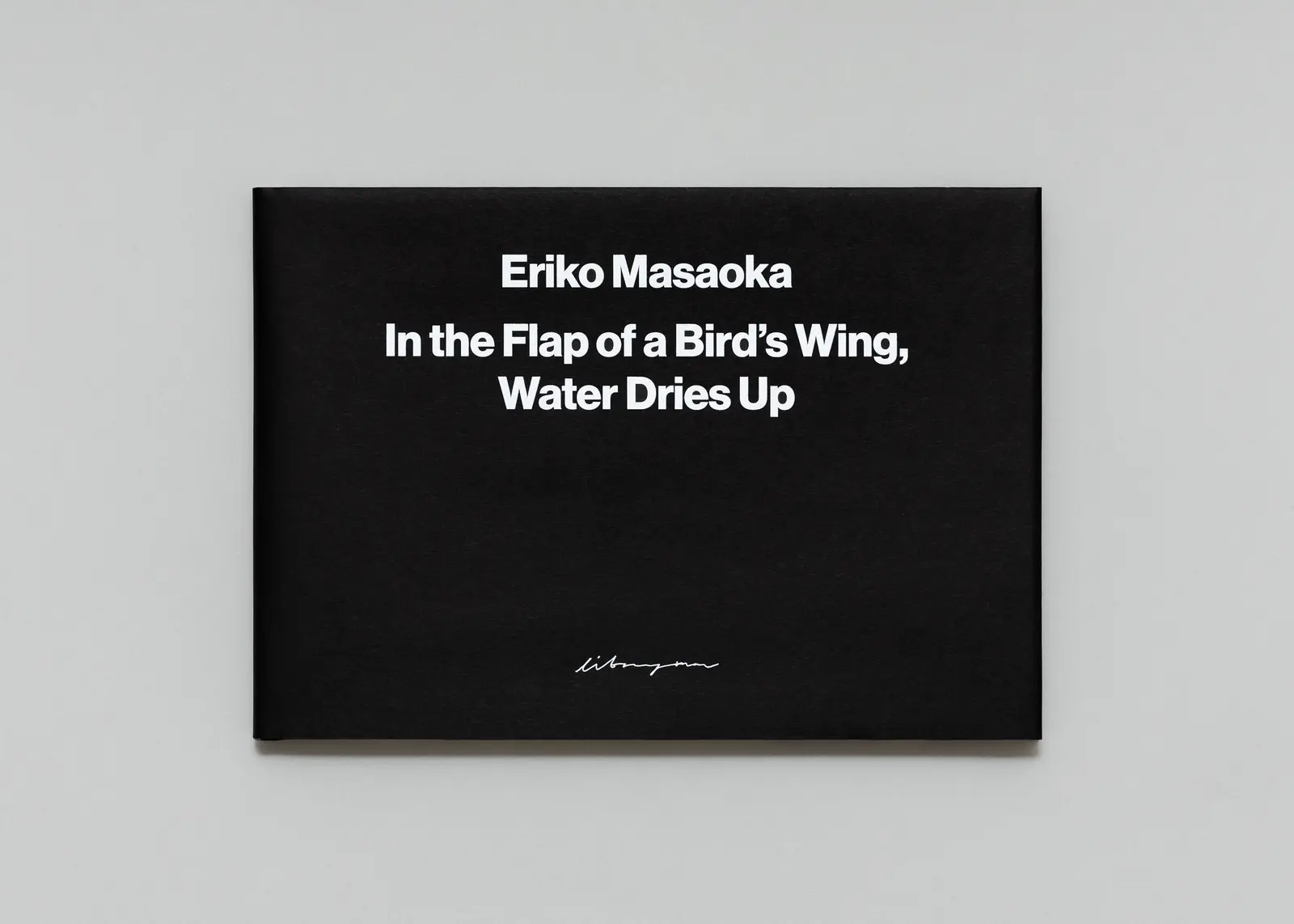 In the Flap of a Bird’s Wing, Water Dries Up image 2