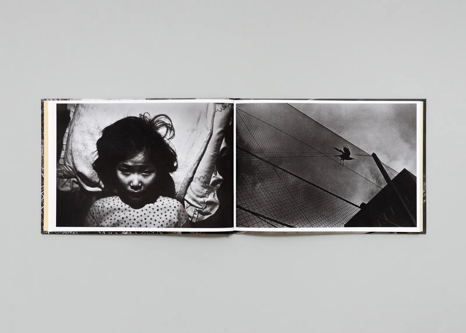 In the Flap of a Bird’s Wing, Water Dries Up image 6