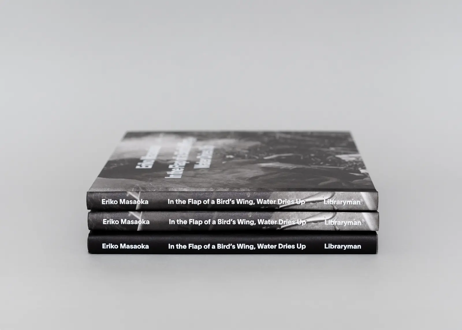 In the Flap of a Bird’s Wing, Water Dries Up image 7