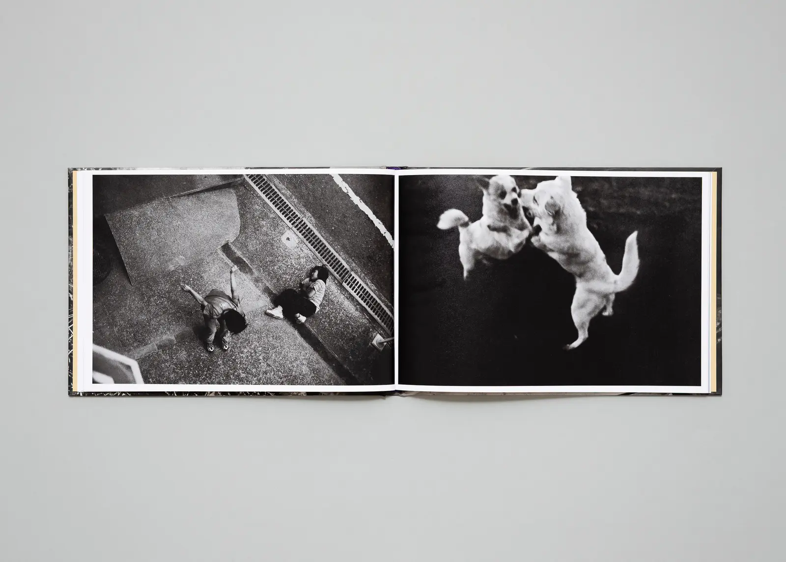 In the Flap of a Bird’s Wing, Water Dries Up image 8