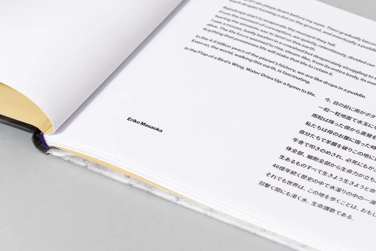 In the Flap of a Bird’s Wing, Water Dries Up image 10