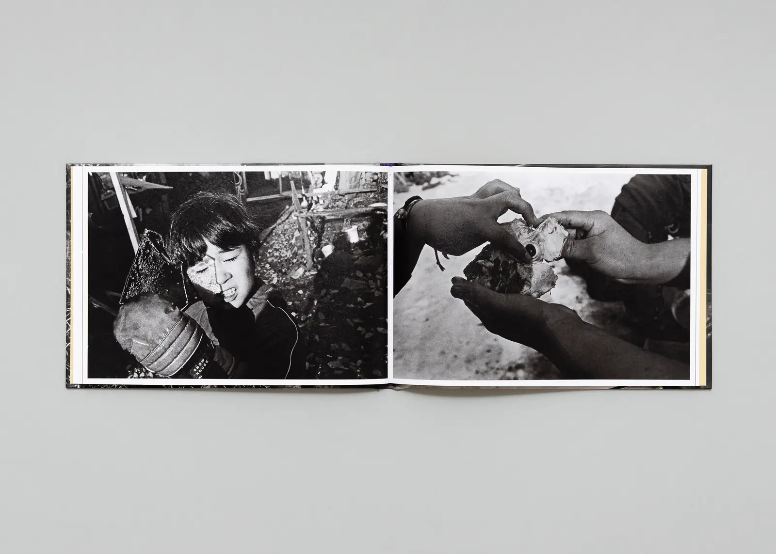 In the Flap of a Bird’s Wing, Water Dries Up image 11