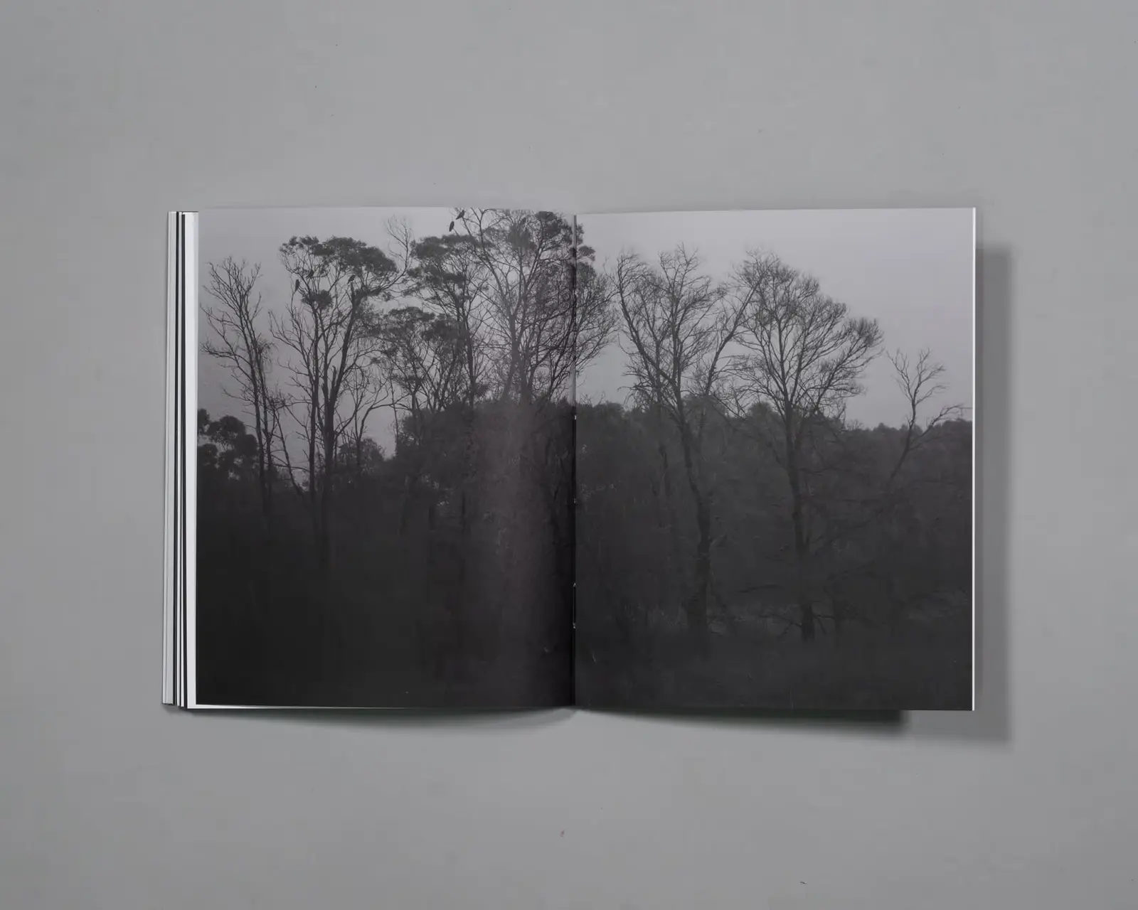 Beware of People Who Dislike Cats image 2