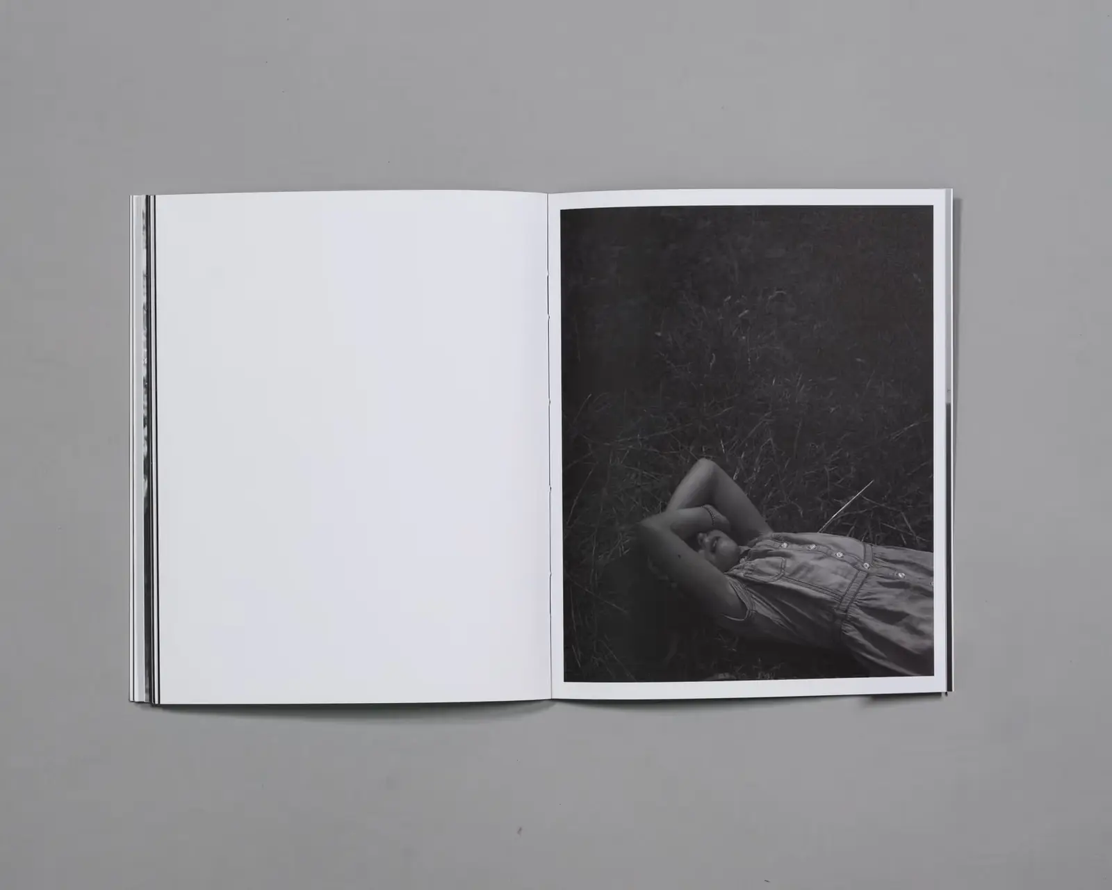 Beware of People Who Dislike Cats image 3