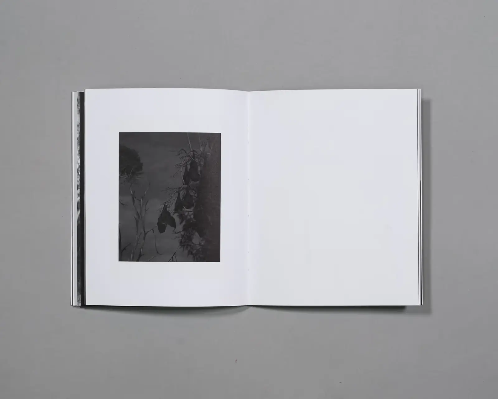 Beware of People Who Dislike Cats image 4