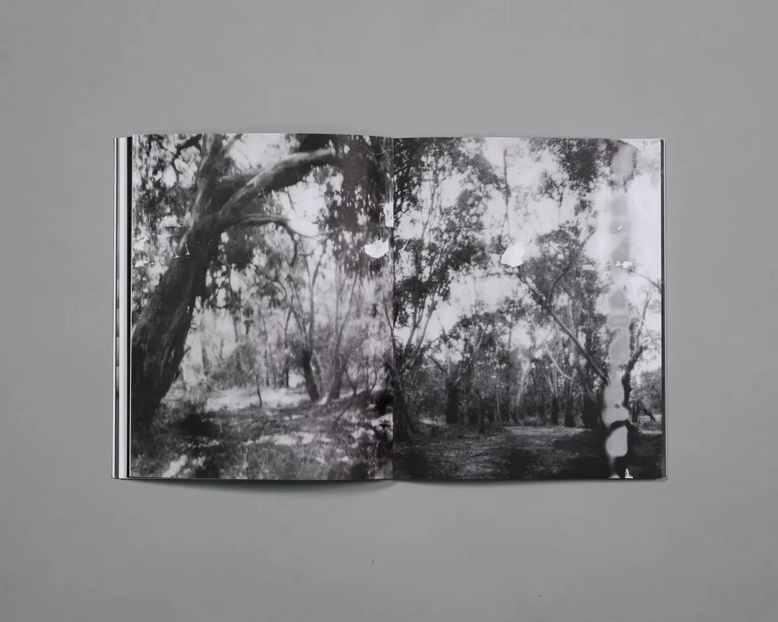 Beware of People Who Dislike Cats image 5