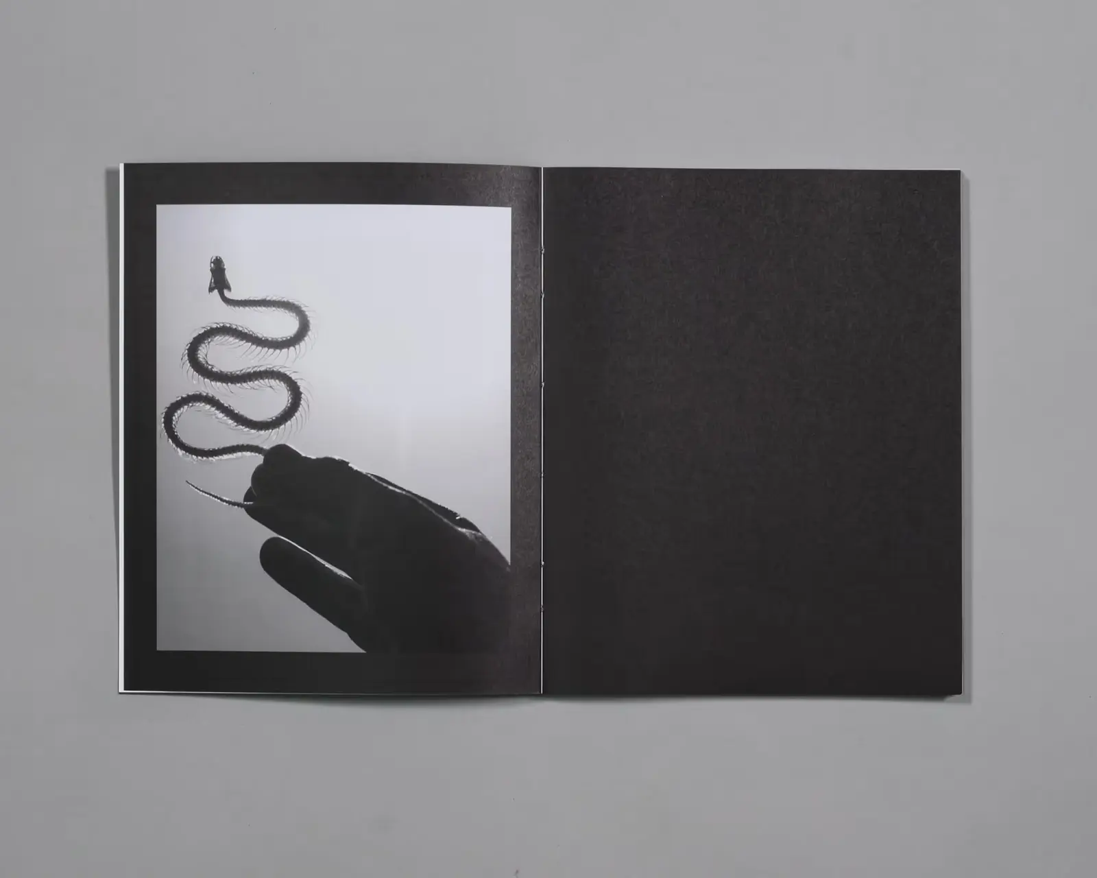 Beware of People Who Dislike Cats image 9