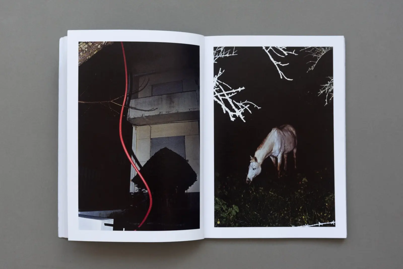 Midday Moon image 10