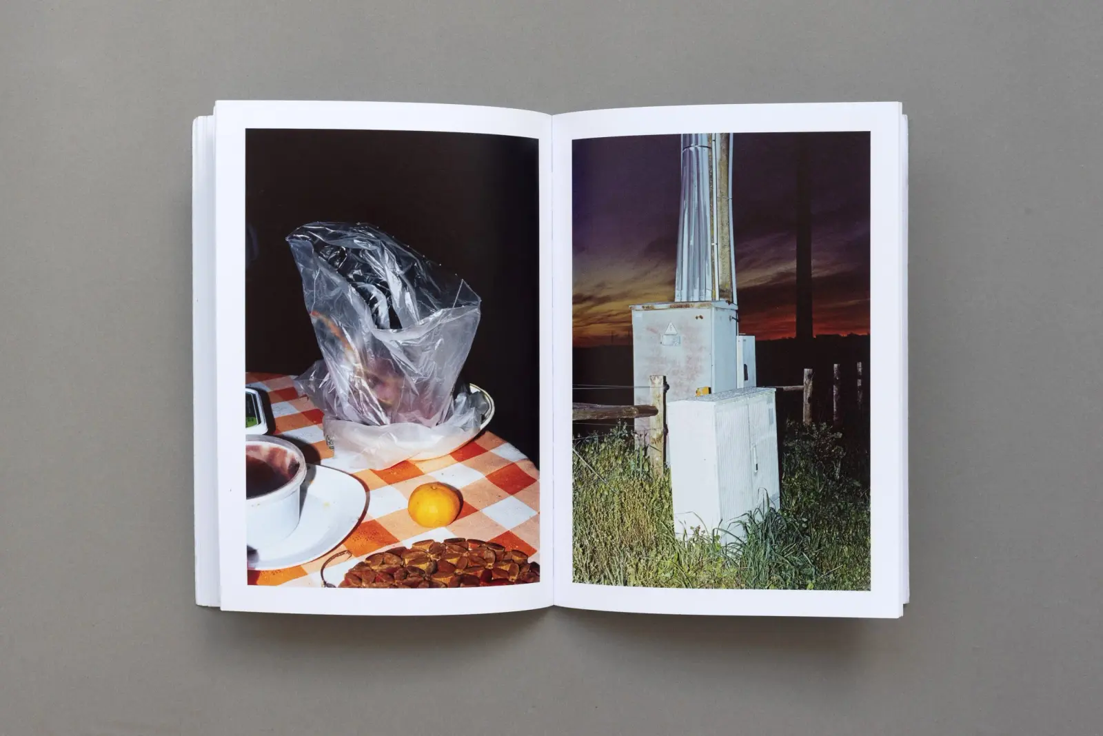 Midday Moon image 11