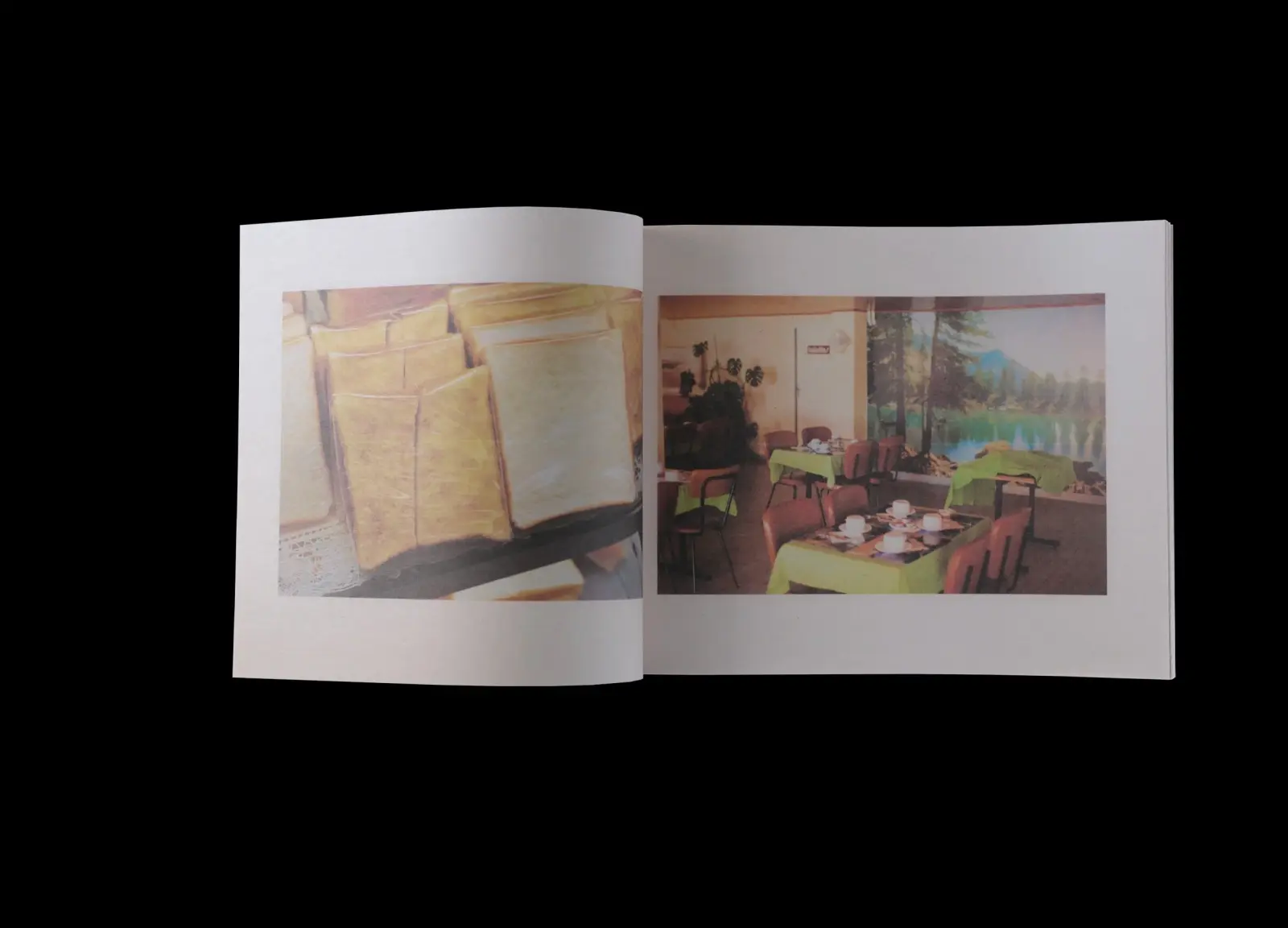 Walden; Or, Life in the Woods, Archive 1993-2024, Vol. 2 image 2