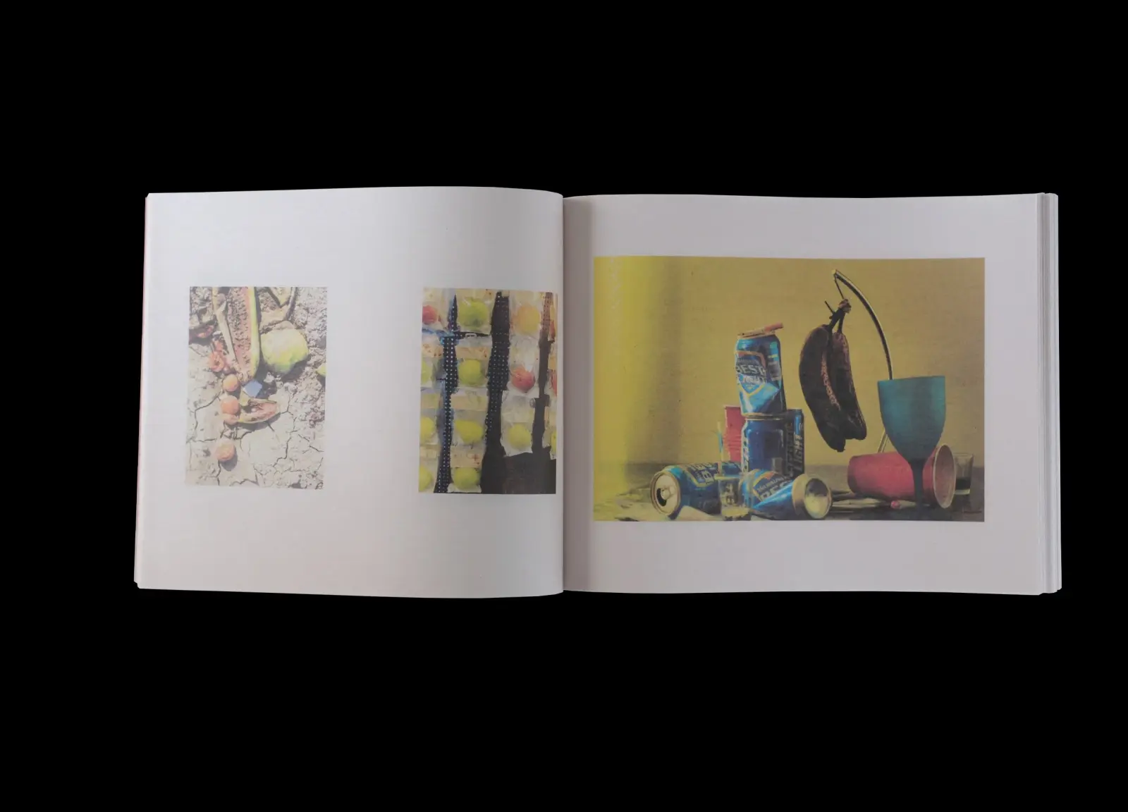 Walden; Or, Life in the Woods, Archive 1993-2024, Vol. 2 image 3