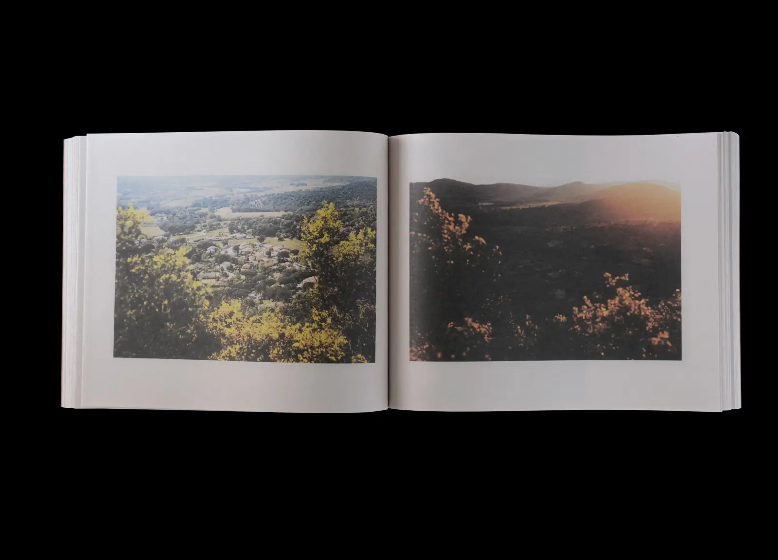 Walden; Or, Life in the Woods, Archive 1993-2024, Vol. 2 image 4