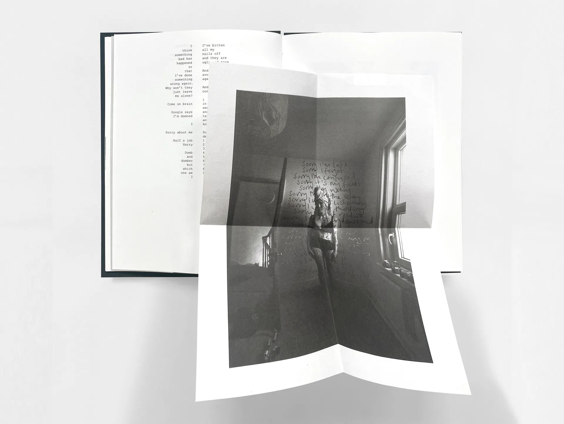 Sorry I’m Not Sorry image 6