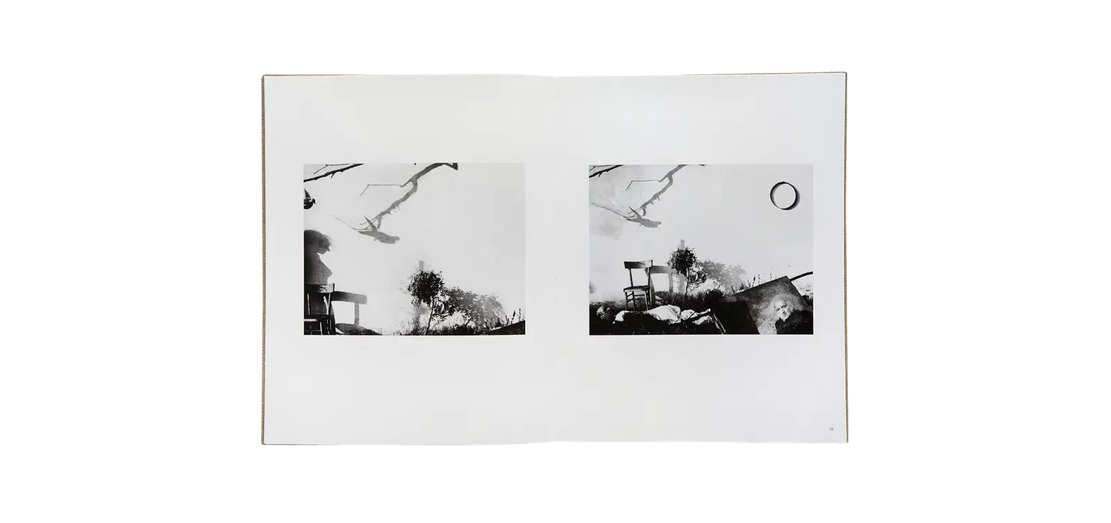 Des oiseaux - Mario Giacomelli image 6