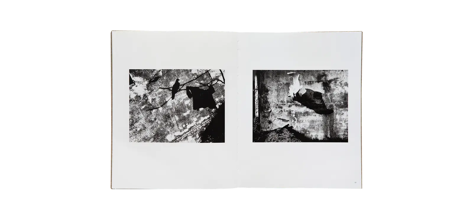 Des oiseaux - Mario Giacomelli image 9