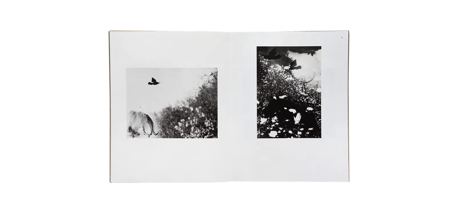 Des oiseaux - Mario Giacomelli image 10